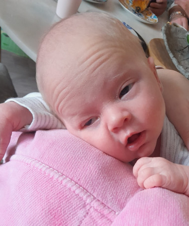 Phoenix (senaste barnbarnet )